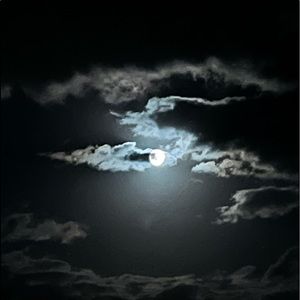 Meet your Posher, Jasmin